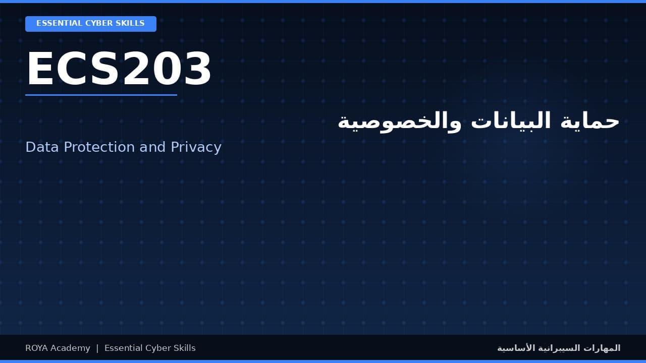 حماية البيانات والخصوصية - Data Protection and Privacy